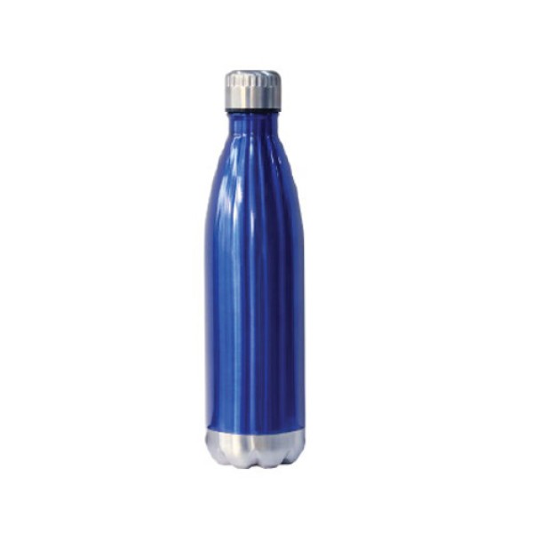 BT2 Water Bottle 650ml